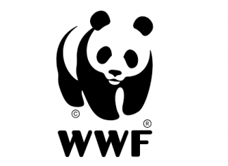 WWF-Türkiye, “Derin Ekoloji Akışı” Projesi ile Contemporary İstanbul’da