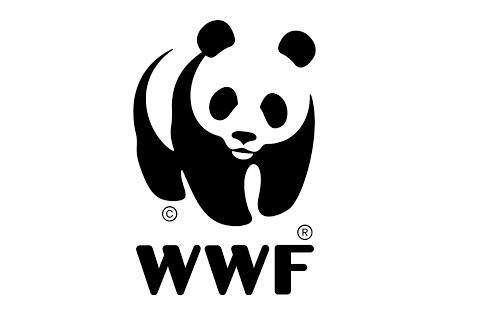 magazin-zoom-wwf-panda-yasam-aktisit