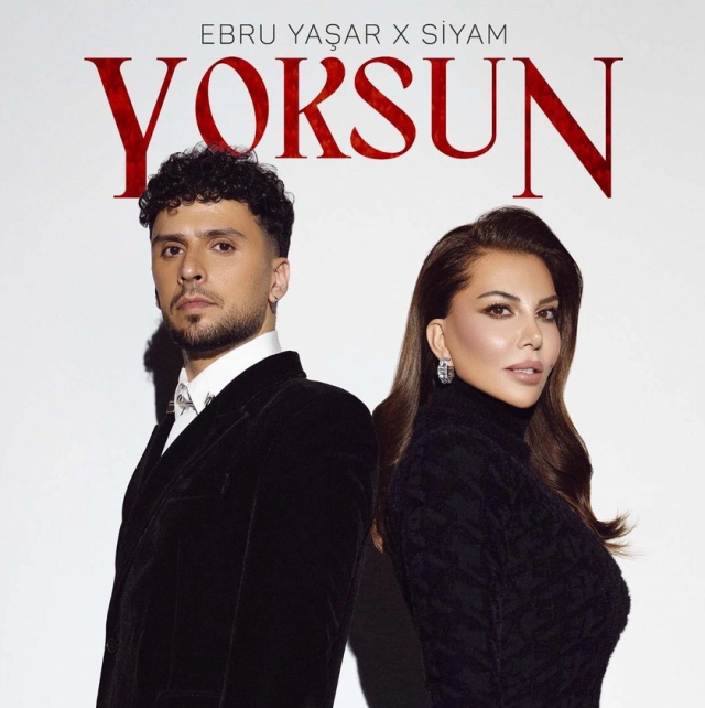ebru-yasar-dan-hayranlarina-surpriz-album-oncesi-16810074_9551_m